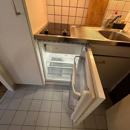 Piso Centrico Agradable Lozanna