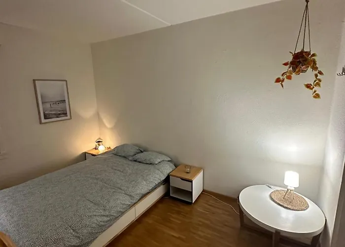 Apartament Piso Centrico Agradable *